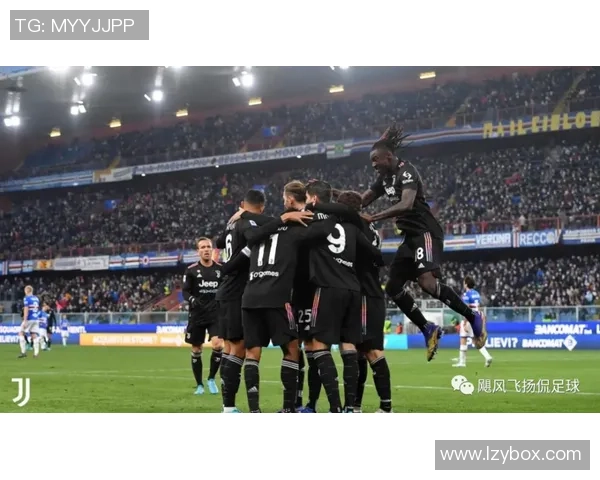 武汉排球队逆袭之路：挑战赛中的拼搏与荣耀全景报道